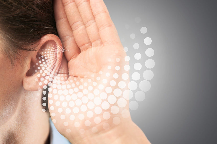 Why are my ears so sensitive to noise?